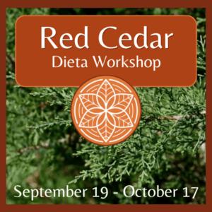 Red Cedar Dieta (2026)